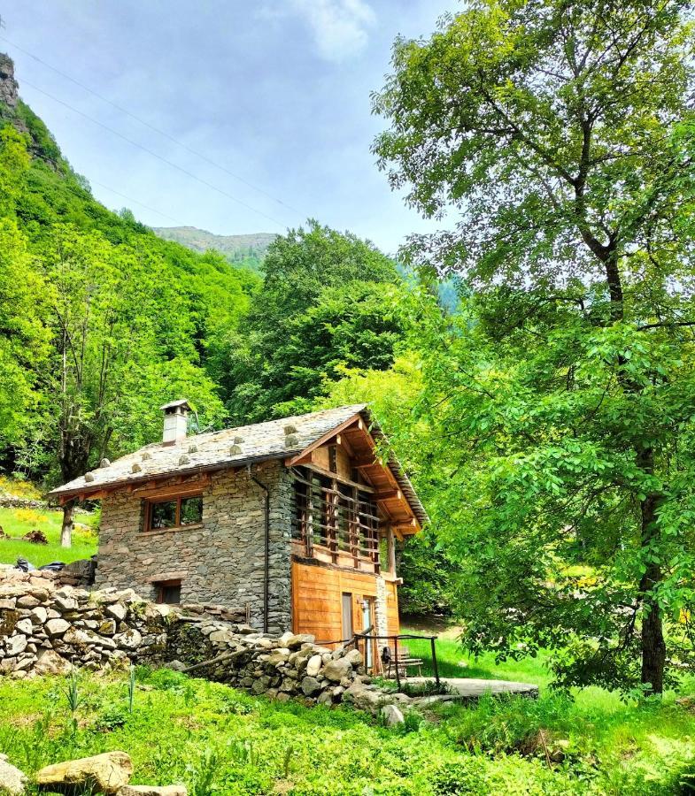 Baita Del Noce Mollia المظهر الخارجي الصورة